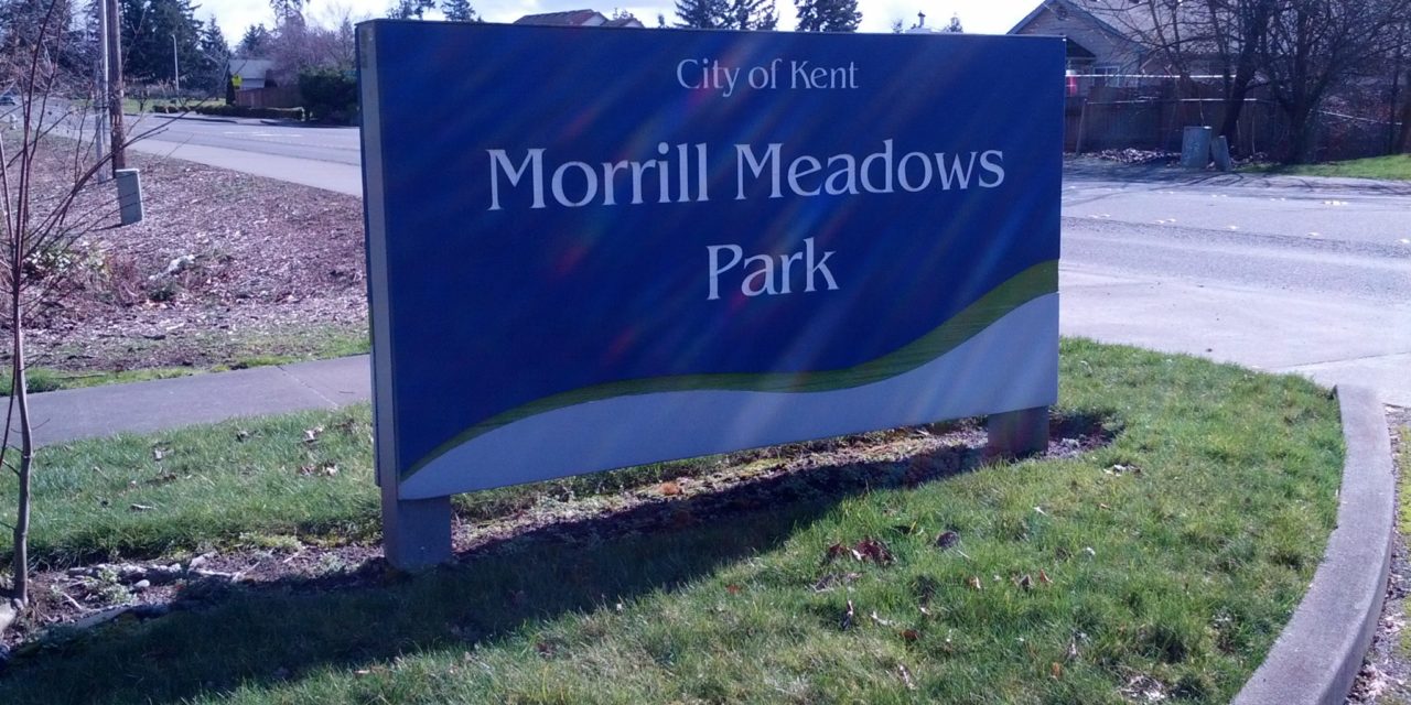 City Wants Input on Plans for Morrill Meadows & East Hill Park Consolidation