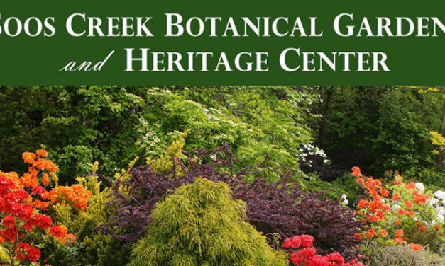 Memorial Day Plant Sale at Soos Creek Botanical Gardens May 25-28