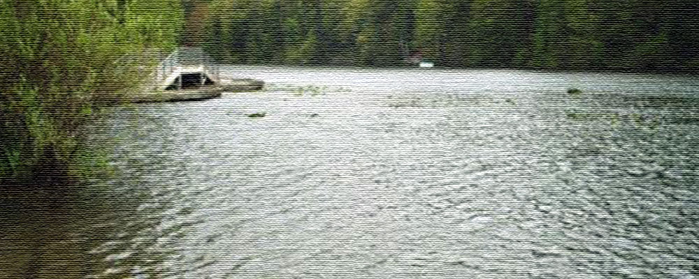 HEALTH/PET ALERT: Toxic algae found in Lake Fenwick