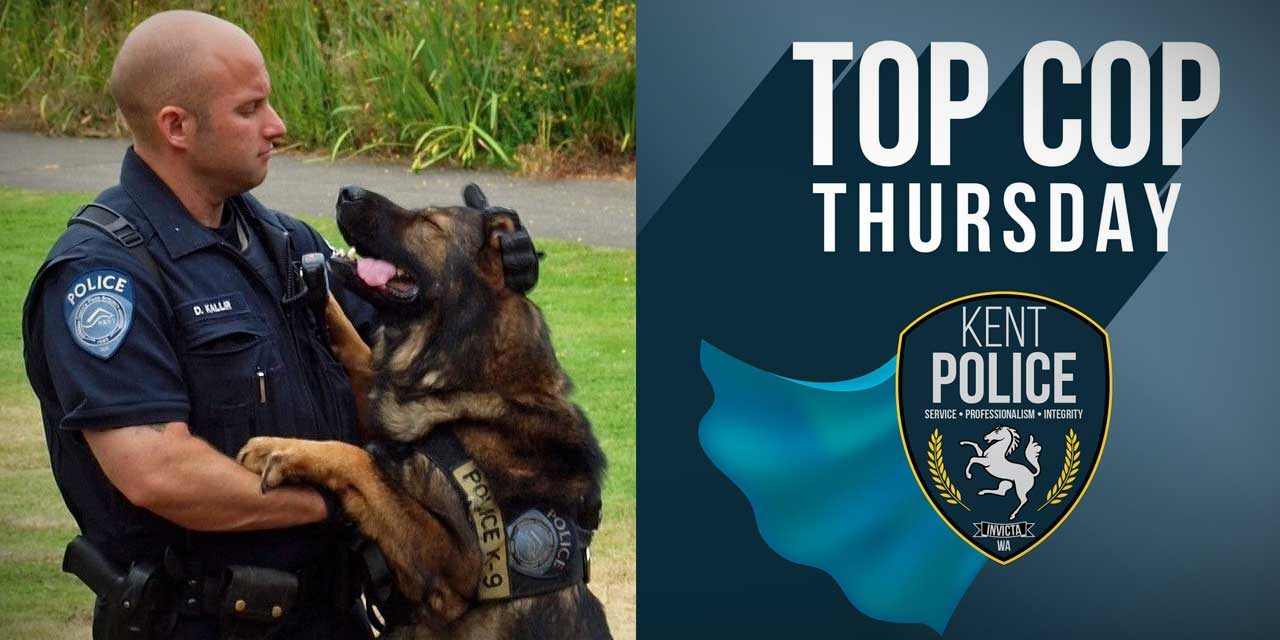 Kent Police Officers – including K9 Kane – locate and arrest wanted suspect