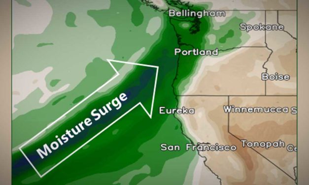 WEATHER ALERT: Are you ready for the first storm of fall? At least 1-inch of rain expected