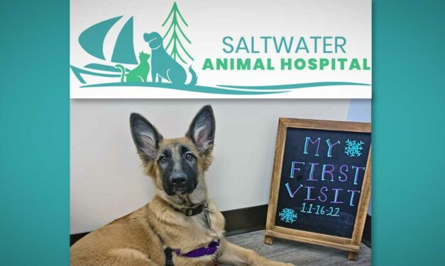 ‘We treat your pet like family’ at new Saltwater Animal Hospital in Des Moines